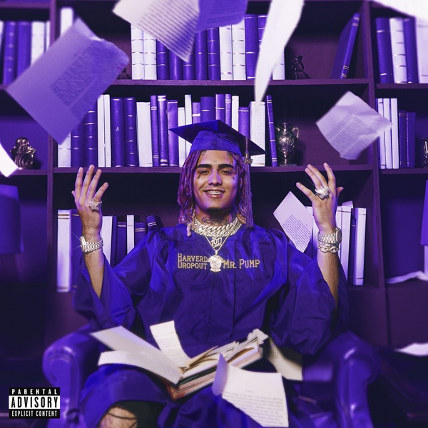 Lil Pump feat. Quavo - Too Much Ice (feat. Quavo)