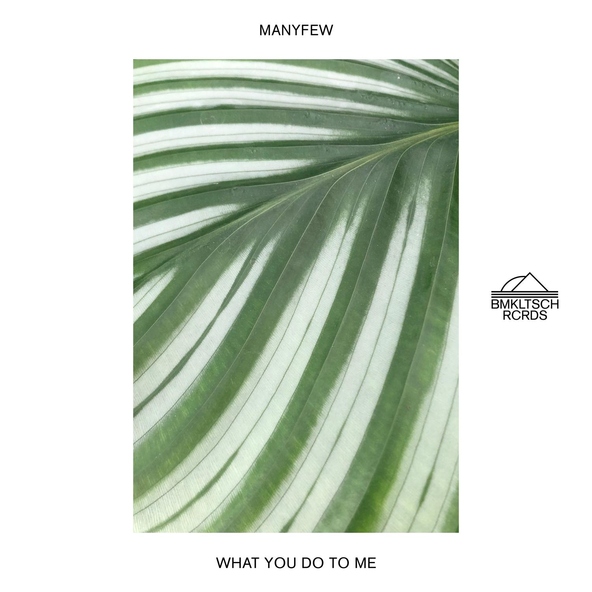 ManyFew - What You Do To Me