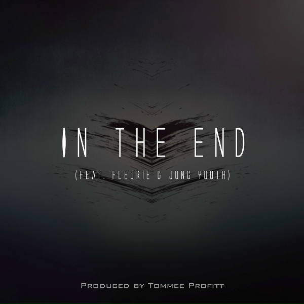 Tommee Profitt - In The End
