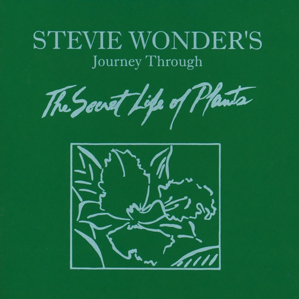Stevie Wonder - Race Babbling