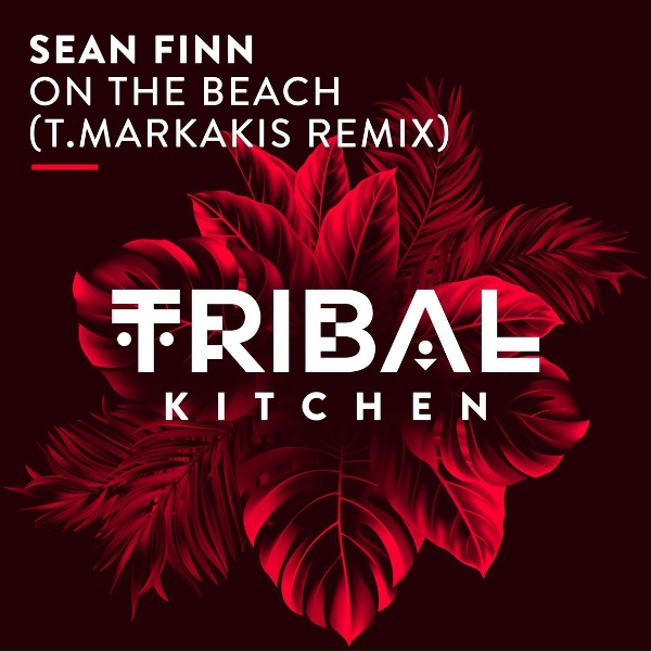 Sean Finn - On the Beach