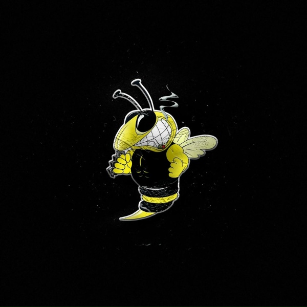 The Iron Bees, Проект ОИ - Хулиганы