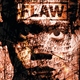 Flaw - Payback