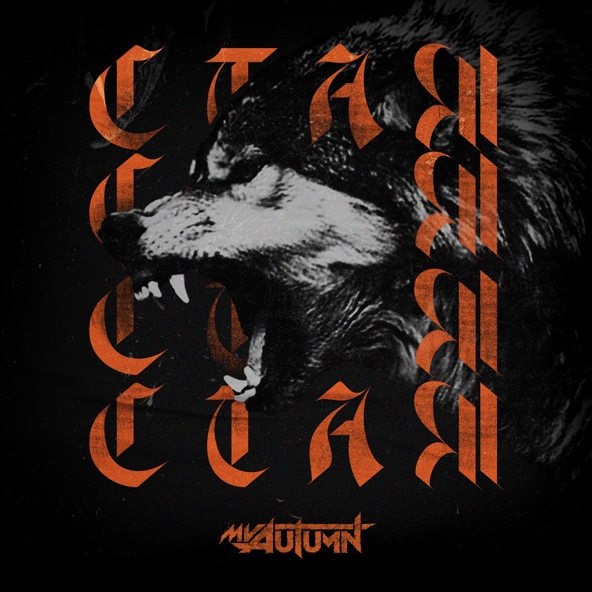 My Autumn - Стая