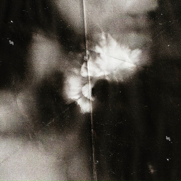 Holding Absence - Here Forever