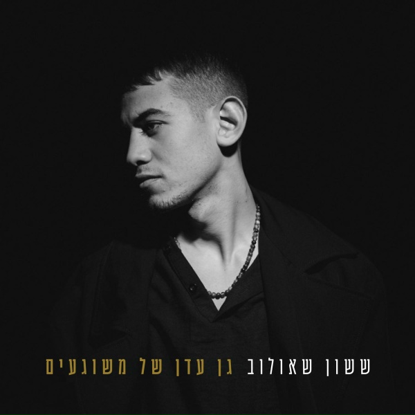 ששון איפרם שאולוב - מדינה כואבת