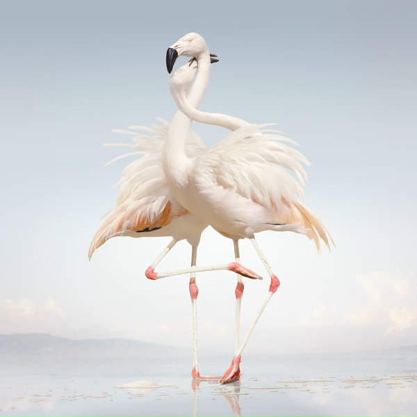 Rustie feat. Danny Brown - Attak (feat. Danny Brown) (feat. Danny Brown)