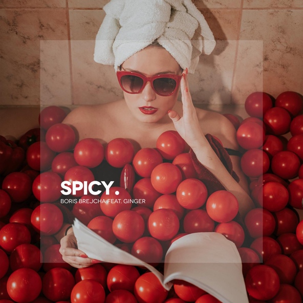 Boris Brejcha feat. Ginger - Spicy