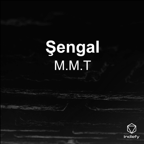M.M.T - Şengal