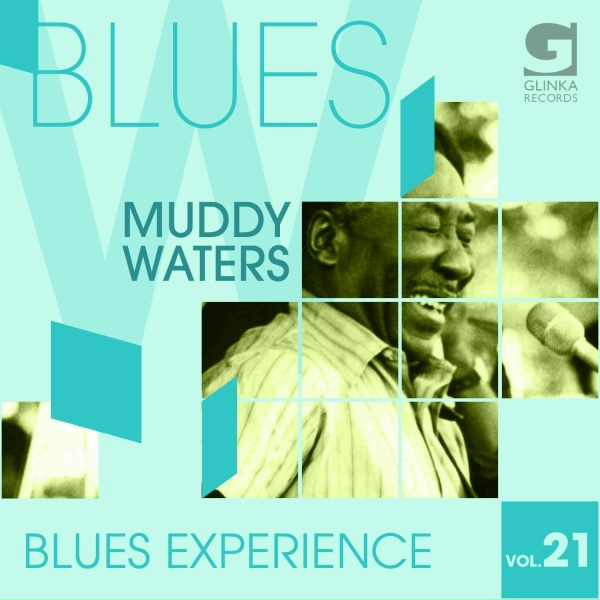 Muddy Waters - I Can&rsquo;t Be Satisfied
