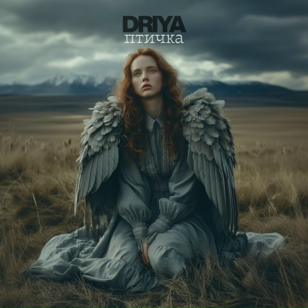 DRIYA - птичка