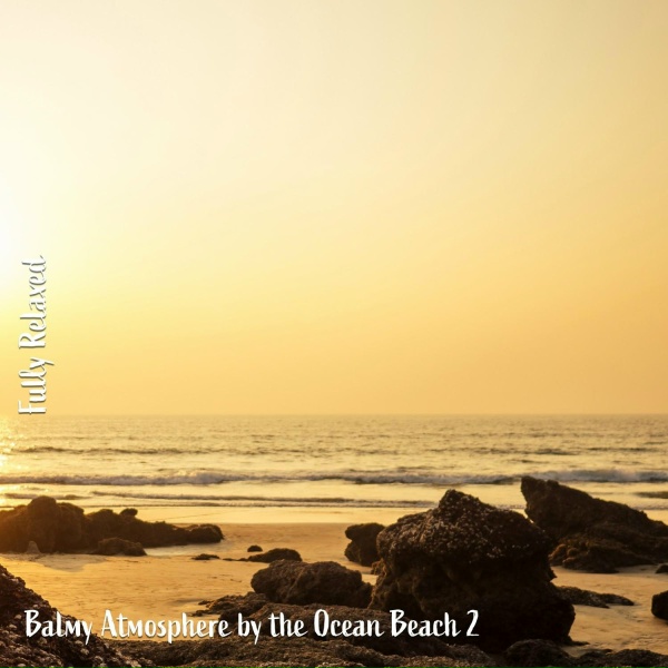 Steve Brassel - Balmy Atmosphere by the Ocean Beach, Pt. 12