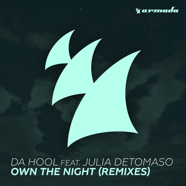 Da Hool feat. Julia DeTomaso - Own The Night
