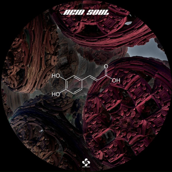 Hum4ndro1d - Acid is Acid