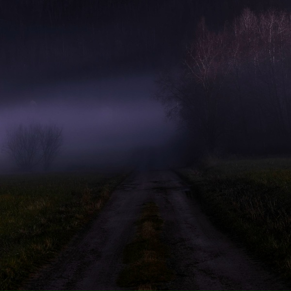 n&oslash;ave - Gentle Starry Moonlit Journey