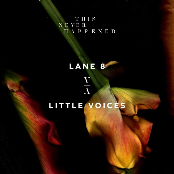 Lane 8 - Little Voices