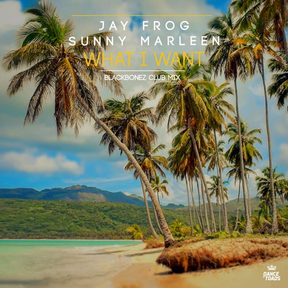 Jay Frog, Sunny Marleen - What I Want