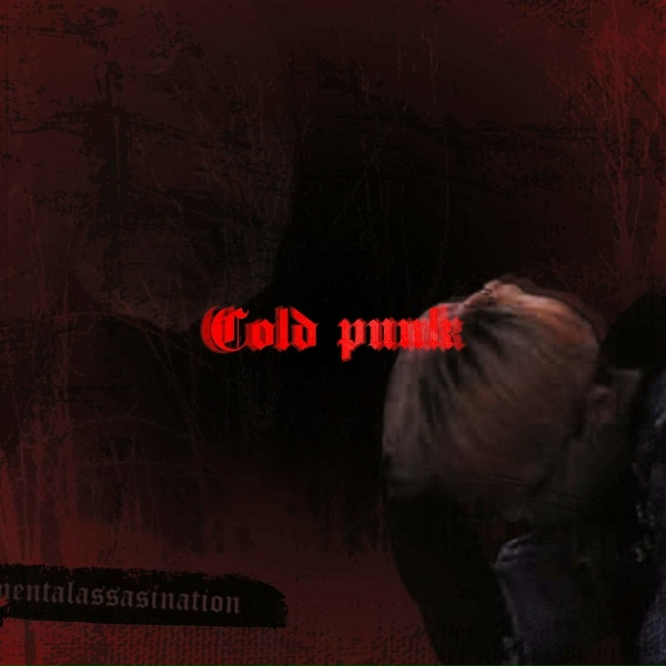 MentalAssasination - Cold Punk