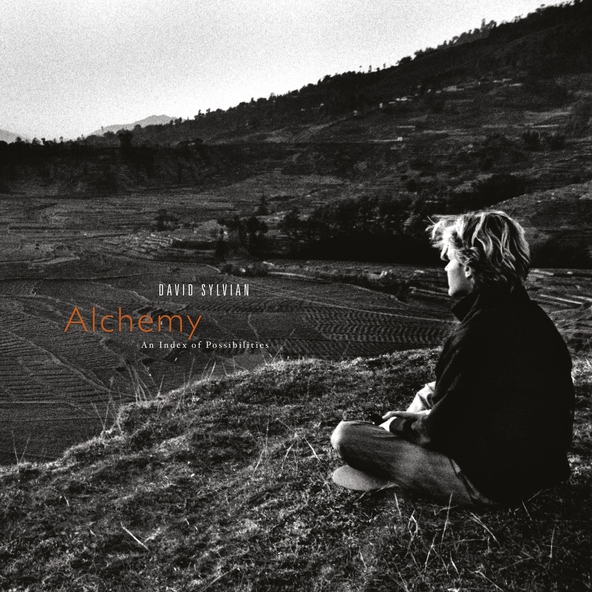 David Sylvian - Words With The Shaman - Part 2 (Incantation)