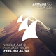 Vigel, Ale Q feat. Jack Wilby - Feel So Alive (Extended Mix) (Extended Mix)