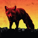 Metric - Artificial Nocturne
