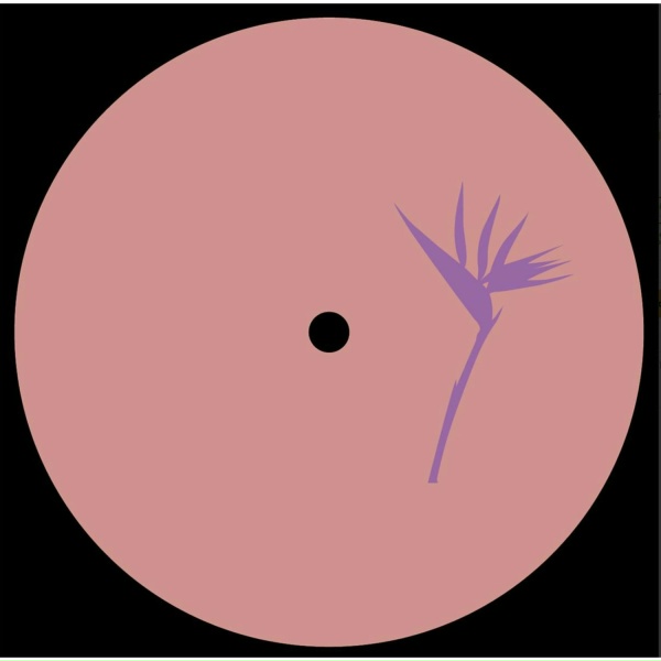 Daniel Meister - Lanao Izany