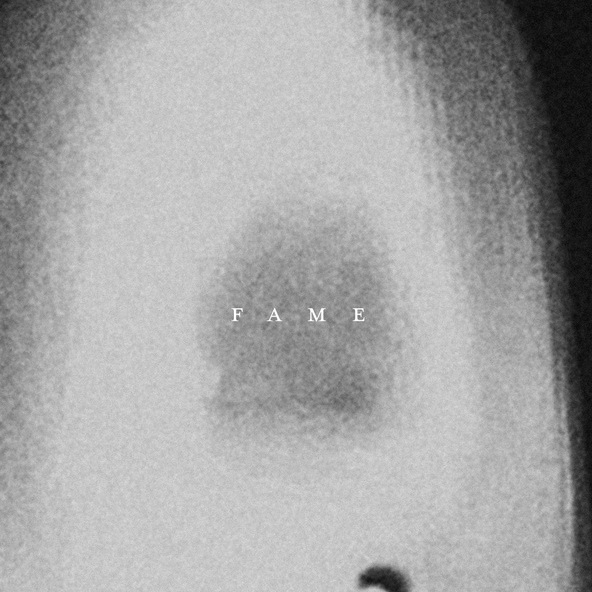 The Acid - Fame