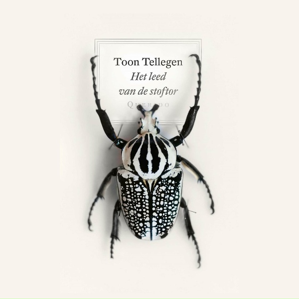 Toon Tellegen - Hoofdstuk 8