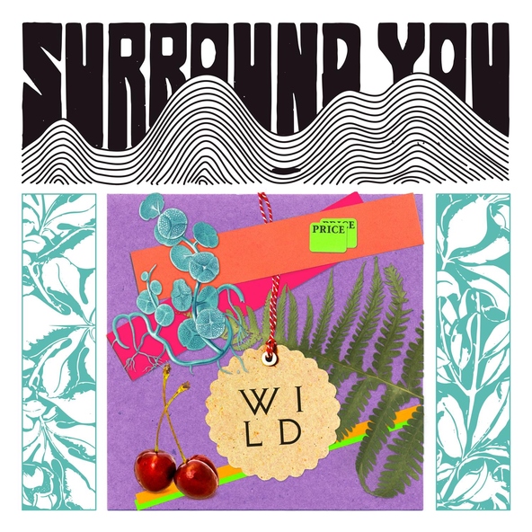 WILD - Surround You