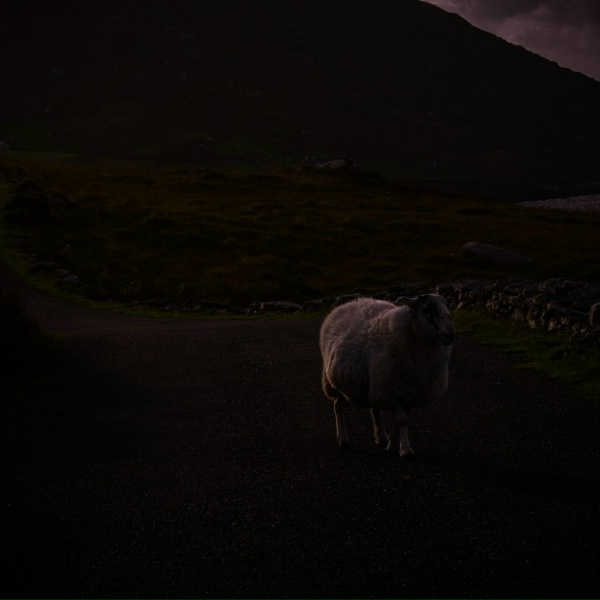 n&oslash;ave - Calming Guitar Solo with Distant Sounds of a Gentle Breeze Through Trees