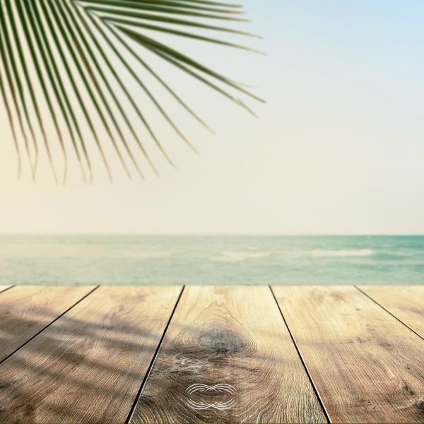 Infinyx - Summer Hit
