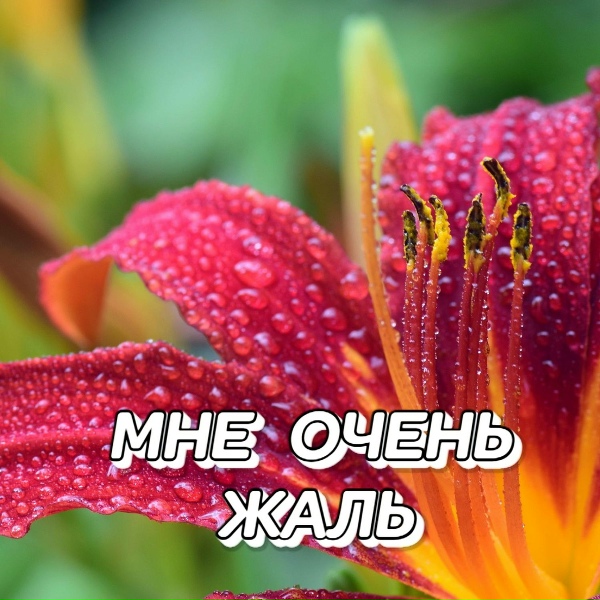 Сергей Грищук - ЛЮБОВЬ СПАСЁТ МИР