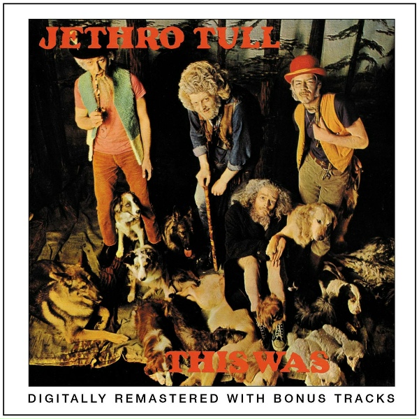 Jethro Tull - Some Day the Sun Won't Shine for You
