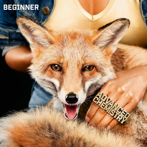 Beginner - Nach Hause