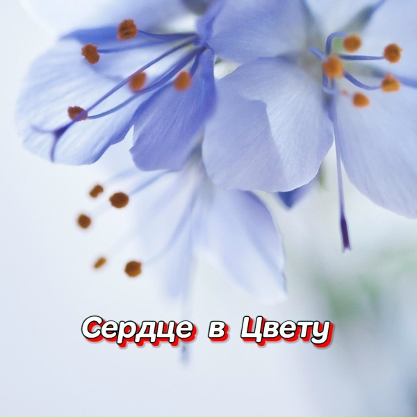 Гравитация - ЧАСЫ ИДУТ