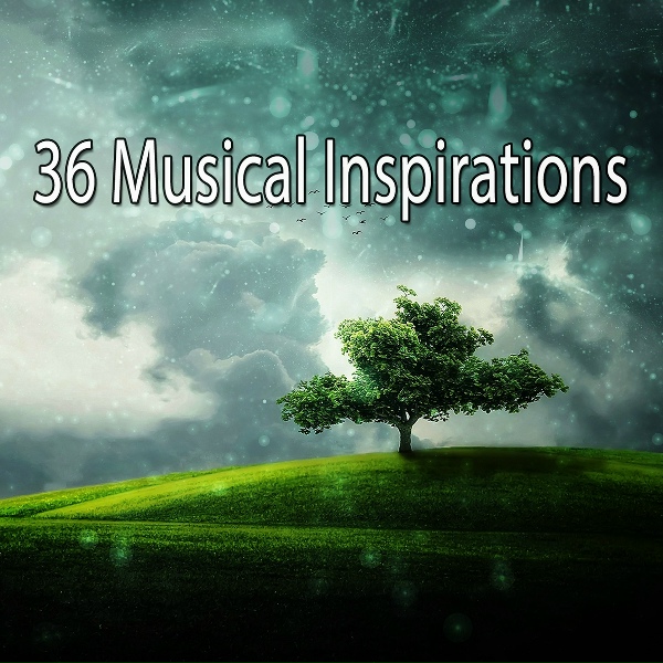 Meditation Music Zone - Heavy Rain In The Forest