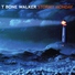 T-Bone Walker - Stormy Monday