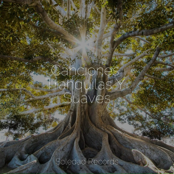 Sue&ntilde;o Lucido, M&uacute;sica Relaxante, Relajarse - Sue&ntilde;os Divinos