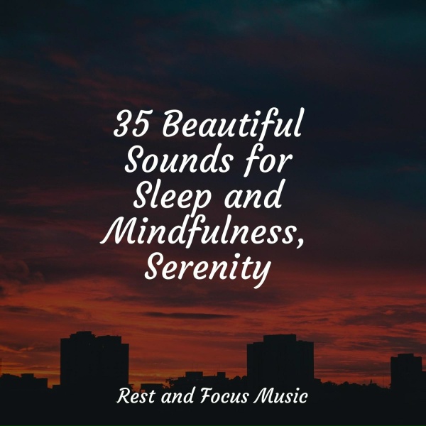 Preschool Kids, Oasis de D&eacute;tente et Relaxation, Sleepy Times - Lost with You