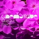QuiQui - Phlox