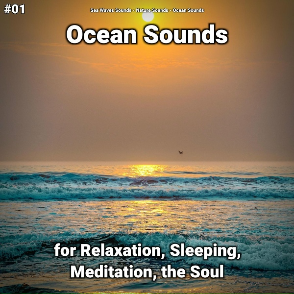 Sea Waves Sounds, Nature Sounds, Ocean Sounds - Ocean Sounds Pt. 15