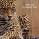 Johny Luv - Changed My Mind (Original Mix) (Original Mix)