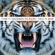 Thirty Seconds To Mars - L490