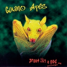 Guano Apes - Lords of the Boards