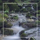 Z8phyR - Wandering Streams