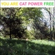 Cat Power - Keep On Runnin' (Crawlin' Black Spider)