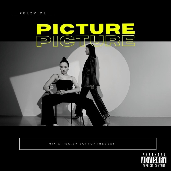 PelzyDL - Picture
