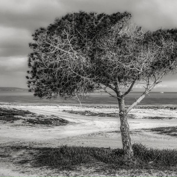 Lluvia, Academia de M&uacute;sica con Sonidos de la Naturaleza, Yoga Para Ni&ntilde;os - Dormir