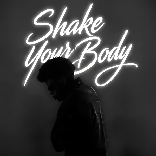 HZD - Shake Your Body