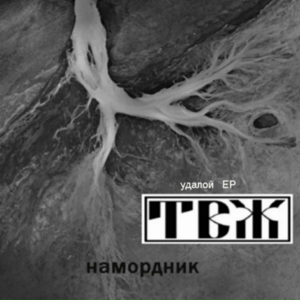 Трагедия всей жизни feat. Doonool - Толян